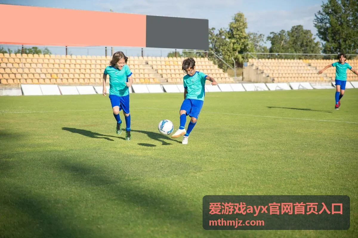 爱游戏ayx官网首页入口访问排查步骤示意